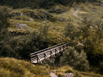 High angle view of trees on landscape