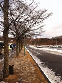 Road amidst bare trees during winter