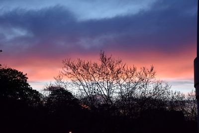 Silhouette plants against dramatic sky during sunset