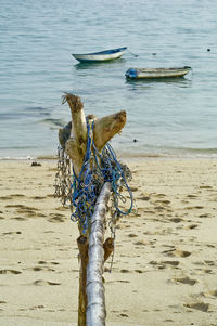 Driftwood on beach