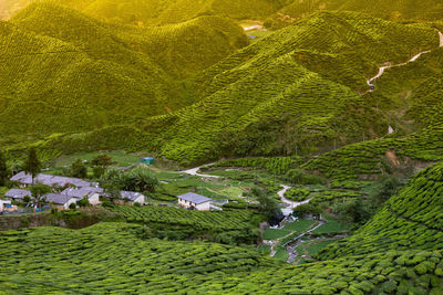 High angle view of landscape