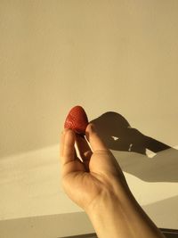 Cropped hand of woman holding strawberry