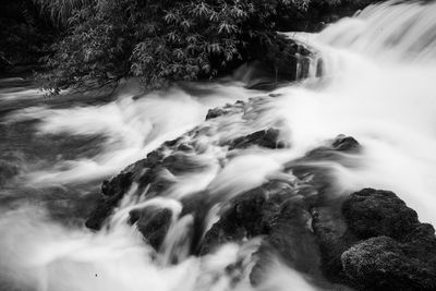 Scenic view of waterfall in forest