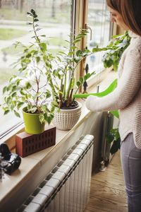 Woman watering potted plants on window sill at home