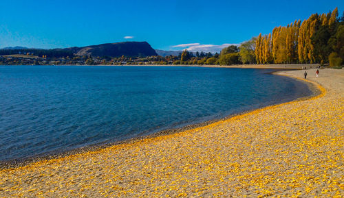 Scenic view of sea against clear blue sky