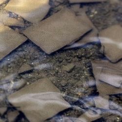 Close-up of cat relaxing on the wall