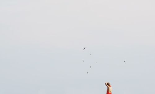 Low angle view of birds flying in sky