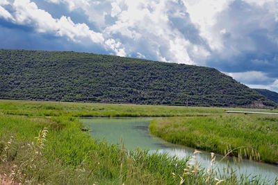 Scenic view of landscape against sky