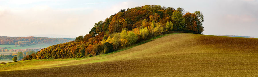 Road amidst green landscape against sky