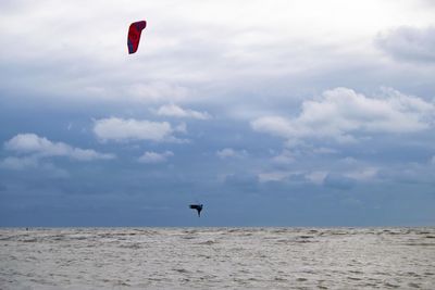 Low angle view of person paragliding against sky