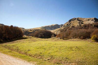 Scenic view of field against clear blue sky