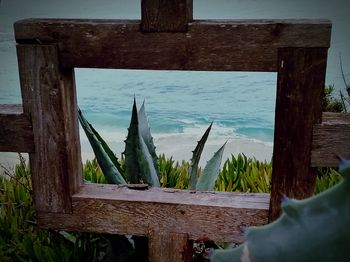 Close-up of wooden door