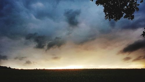 Silhouette trees on field against sky during sunset