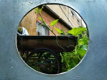 Close-up of bicycle parked by window