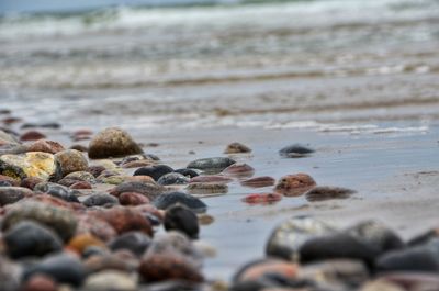 Surface level of pebble beach