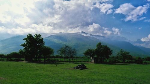 Scenic view of agricultural field against sky