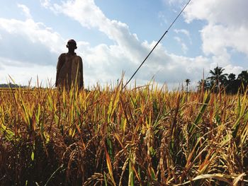 Rear view of man standing on field against sky