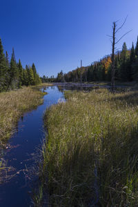 Scenic view of lake against clear blue sky