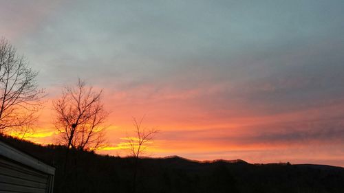 Silhouette of trees at sunset