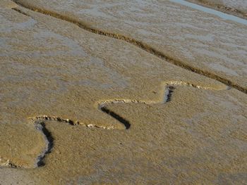 High angle view of footprints on sandy beach