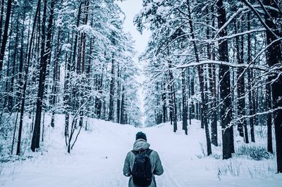 Bare trees on snow covered landscape