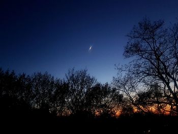 Low angle view of silhouette trees against sky at night