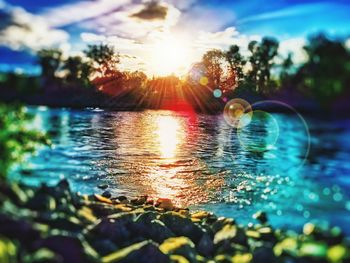 Sun shining through trees