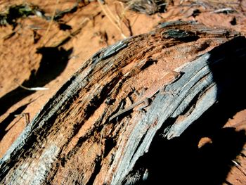 Close-up of wooden wall