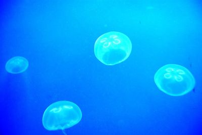 Close-up of bubbles in water