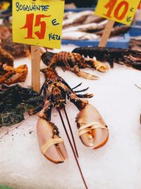 Close-up of lobster for sale at market stall