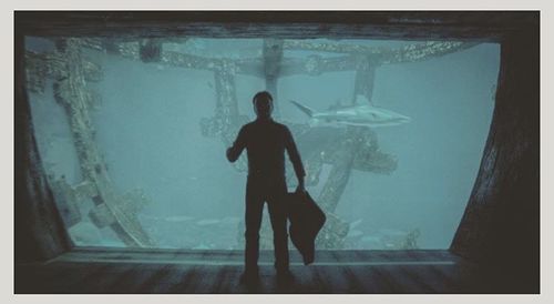 Man swimming in fish tank at aquarium