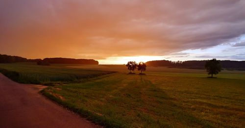 Scenic view of field against sky during sunset