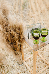 High angle view of wine glasses on grass