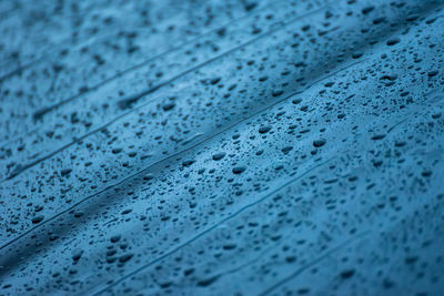 Full frame shot of raindrops on floor