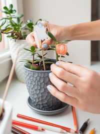 Close-up of woman hand holding flower bouquet