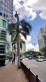 Palm trees in city against sky