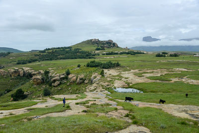 Scenic view of landscape against sky