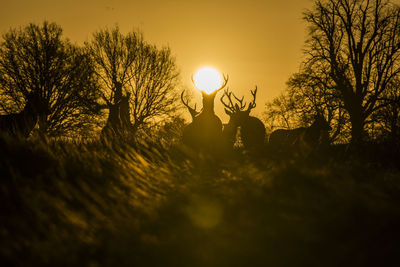 Silhouette deer on field against sky during sunset