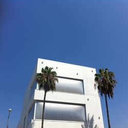 Low angle view of palm trees against clear blue sky