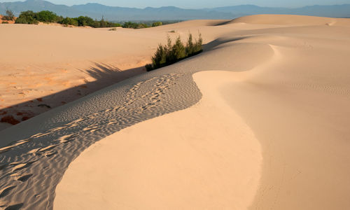Scenic view of sand dunes in desert