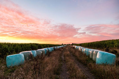 Vanishing point view of agricultural field