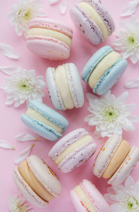 Beautiful colorful tasty macaroons on a pink background