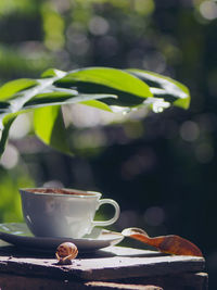 Close-up of coffee cup on table