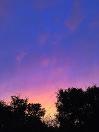 Low angle view of silhouette trees against blue sky at sunset