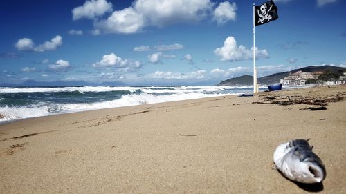 Scenic view of beach against sky