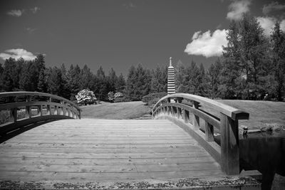 View of trees against sky