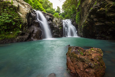 Scenic view of waterfall in forest