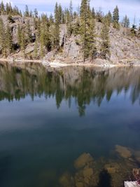 Scenic view of lake by trees against sky