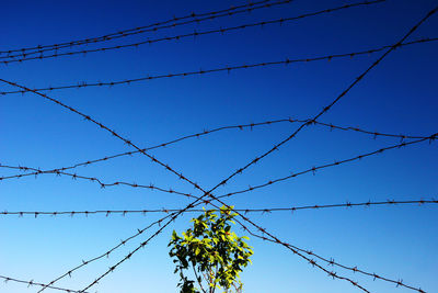 Low angle view of barbed wire against clear blue sky