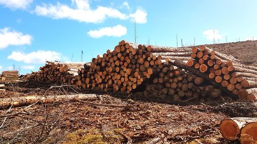 Stack of logs against sky